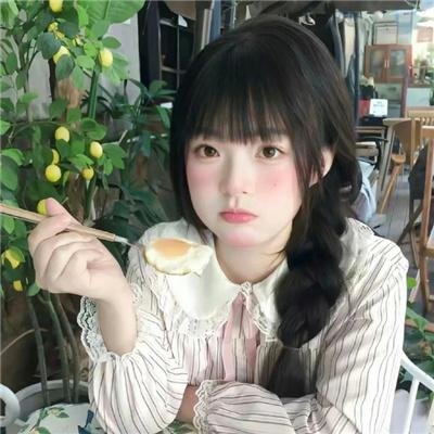 五十一号档案